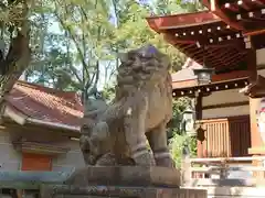 敏馬神社の狛犬