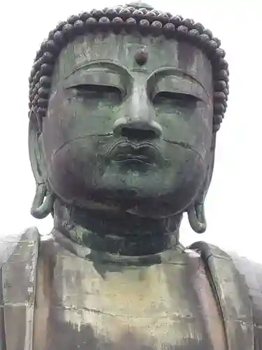 高徳院(神奈川県)