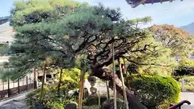 明白院(東京都)