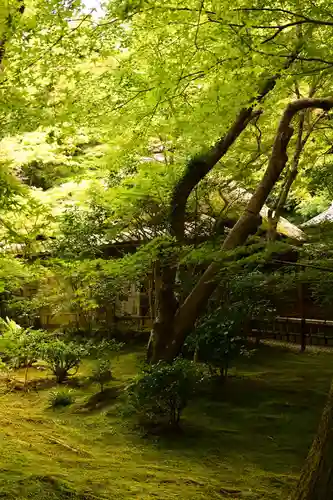 祇王寺(京都府)