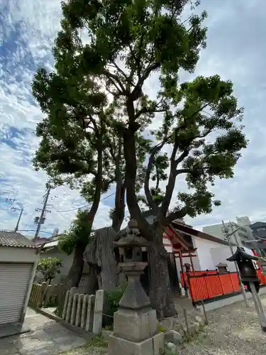 姫嶋神社の自然