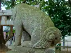 青砥杉山神社の狛犬