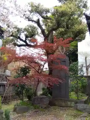 護国院(東京都)