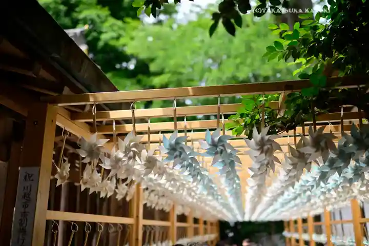 川越氷川神社(埼玉県)