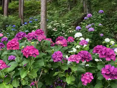 長谷寺(長野県)