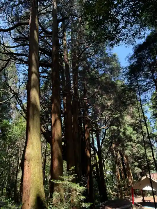 槵觸神社(宮崎県)