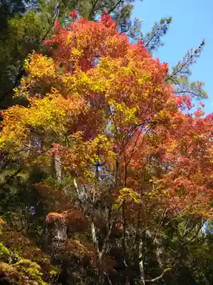 四宮神社の自然