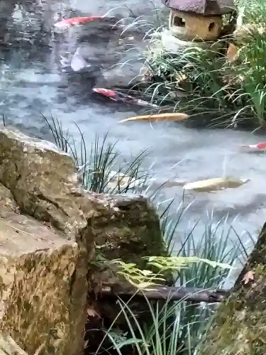 三瀧寺(広島県)