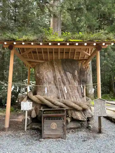 小國神社の{uncategorized: "未分類", other: "その他", undefined: "問題あり", building: "その他建物", grave: "お墓", sacred_gate: "鳥居", guardian: "狛犬", statue: "像", buddha: "仏像", history: "歴史", nature: "自然", garden: "庭園", animal: "動物", pagoda: "塔", temizu: "手水舎", mountain_gate: "山門・神門", sanctuary: "本殿・本堂", subordinate: "末社・摂社", art: "芸術", scenery: "景色", jizo: "地蔵", ema: "絵馬", goshuin: "御朱印", omikuji: "おみくじ", items: "授与品その他", amulet: "お守り", goshuincho: "御朱印帳", eats: "食事", festival: "お祭り", votive_dance: "神楽", shichigosan: "七五三参", wedding: "結婚式", experience: "体験その他", initially: "初詣", around: "周辺", anti_infection: "感染症対策"}