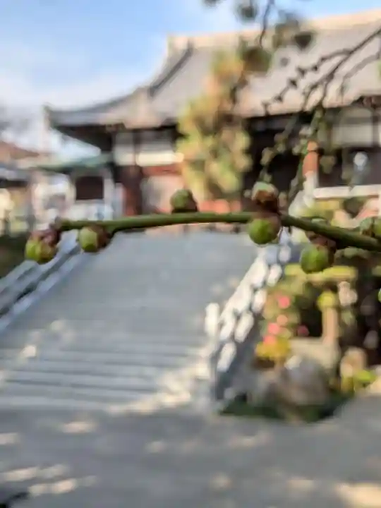 玄国寺(東京都)