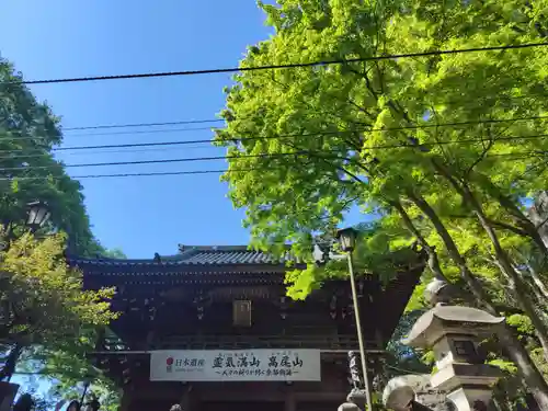 高尾山薬王院(東京都)