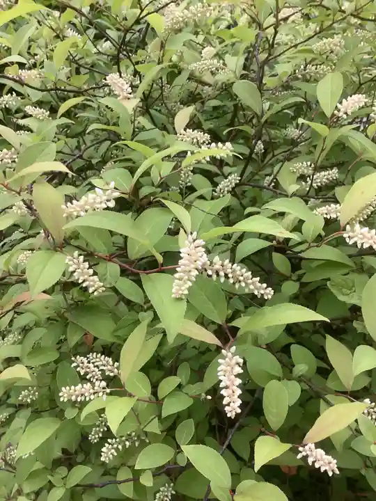 日蓮宗瑞光山久遠寺の庭園