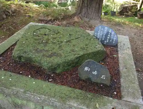 五所駒瀧神社(茨城県)