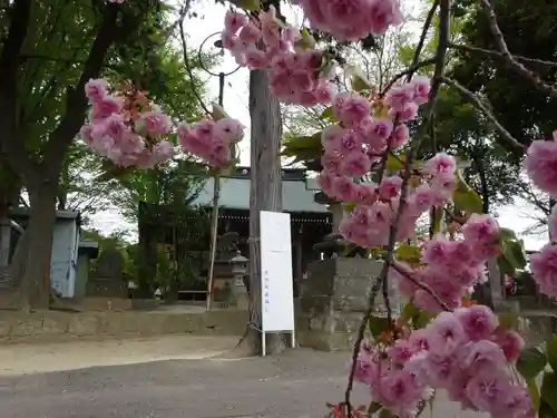 熊野福藏神社の自然