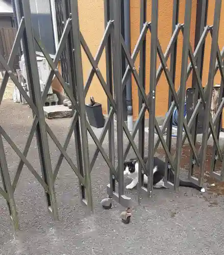 根岸八幡神社(神奈川県)