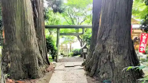 鹿島大神宮(福島県)