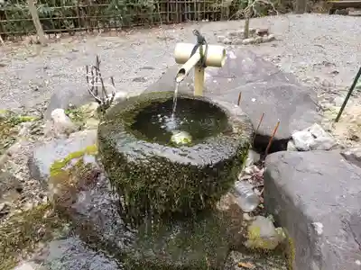 松尾寺の手水舎