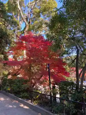鎌倉宮(神奈川県)