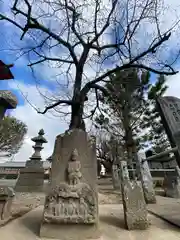 駒形神社(埼玉県)