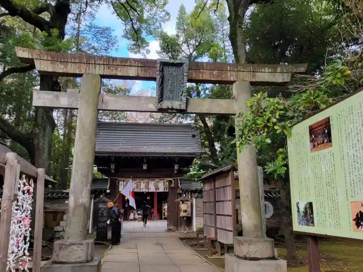 赤坂氷川神社の鳥居