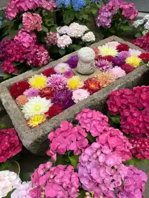 岡寺（龍蓋寺）の{uncategorized: "未分類", other: "その他", undefined: "問題あり", building: "その他建物", grave: "お墓", sacred_gate: "鳥居", guardian: "狛犬", statue: "像", buddha: "仏像", history: "歴史", nature: "自然", garden: "庭園", animal: "動物", pagoda: "塔", temizu: "手水舎", mountain_gate: "山門・神門", sanctuary: "本殿・本堂", subordinate: "末社・摂社", art: "芸術", scenery: "景色", jizo: "地蔵", ema: "絵馬", goshuin: "御朱印", omikuji: "おみくじ", items: "授与品その他", amulet: "お守り", goshuincho: "御朱印帳", eats: "食事", festival: "お祭り", votive_dance: "神楽", shichigosan: "七五三参", wedding: "結婚式", experience: "体験その他", initially: "初詣", around: "周辺", anti_infection: "感染症対策"}