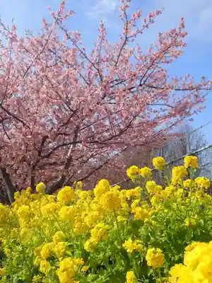 海南神社(神奈川県)