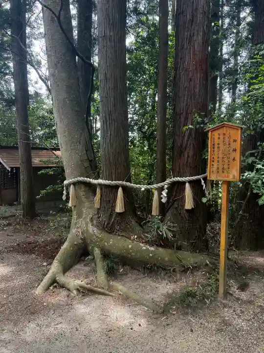 宇那禰神社(宮城県)