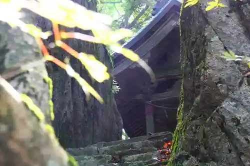 琴彈山神社の本殿