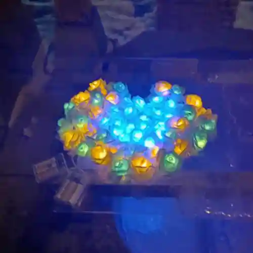 彌彦神社　(伊夜日子神社)(北海道)