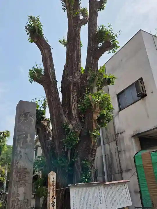 八雲神社 (通五丁目)(栃木県)