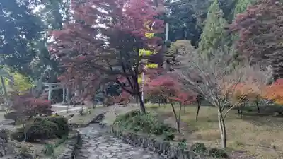妙義神社(群馬県)