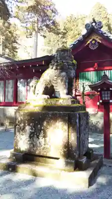 箱根神社の狛犬