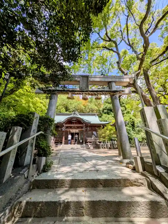垂水神社の本殿・本堂