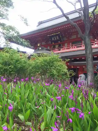 千葉神社のその他建物