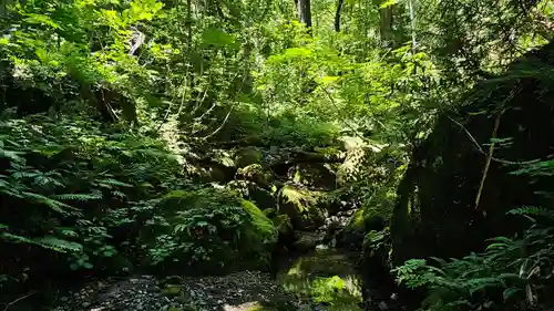 戸隠神社奥社(長野県)
