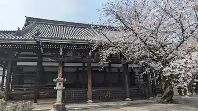 本法寺(京都府)