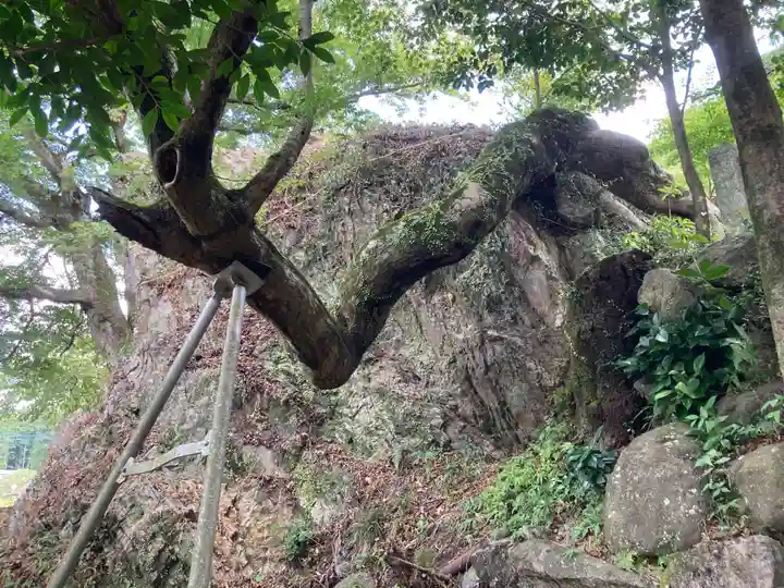 白瀧神社(群馬県)