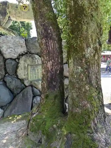 真清田神社(愛知県)