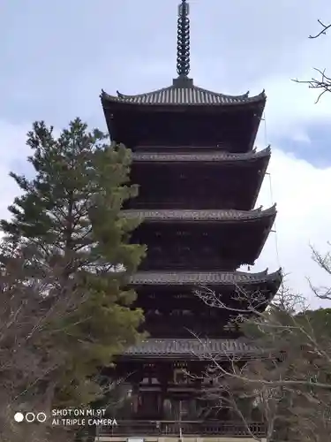 仁和寺の塔