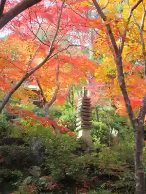 常寂光寺(京都府)