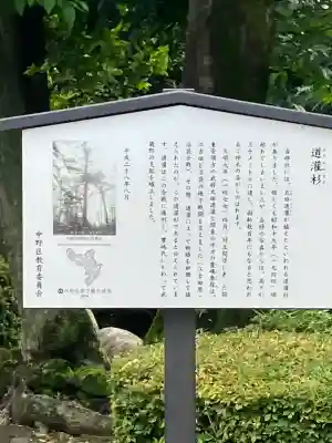 中野沼袋氷川神社(東京都)