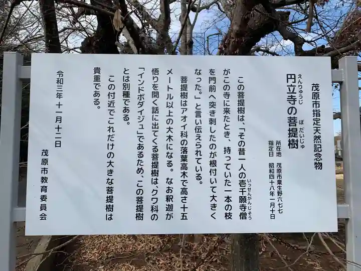 円立寺(千葉県)