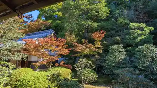 隨心院（随心院）(京都府)