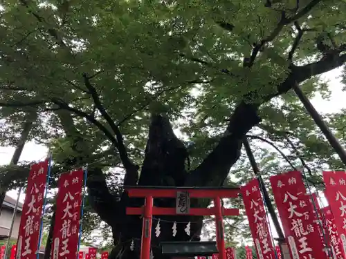 秩父今宮神社の自然