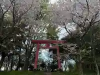 尾張猿田彦神社 奥宮の{uncategorized: "未分類", other: "その他", undefined: "問題あり", building: "その他建物", grave: "お墓", sacred_gate: "鳥居", guardian: "狛犬", statue: "像", buddha: "仏像", history: "歴史", nature: "自然", garden: "庭園", animal: "動物", pagoda: "塔", temizu: "手水舎", mountain_gate: "山門・神門", sanctuary: "本殿・本堂", subordinate: "末社・摂社", art: "芸術", scenery: "景色", jizo: "地蔵", ema: "絵馬", goshuin: "御朱印", omikuji: "おみくじ", items: "授与品その他", amulet: "お守り", goshuincho: "御朱印帳", eats: "食事", festival: "お祭り", votive_dance: "神楽", shichigosan: "七五三参", wedding: "結婚式", experience: "体験その他", initially: "初詣", around: "周辺", anti_infection: "感染症対策"}