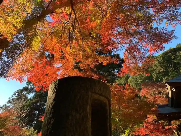 普門寺(切り絵御朱印発祥の寺)のその他建物