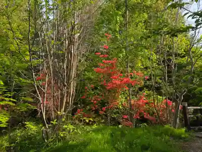 田出宇賀神社(福島県)