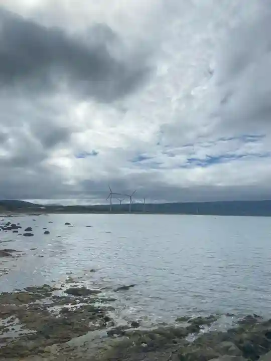 恵比寿神社の{uncategorized: "未分類", other: "その他", undefined: "問題あり", building: "その他建物", grave: "お墓", sacred_gate: "鳥居", guardian: "狛犬", statue: "像", buddha: "仏像", history: "歴史", nature: "自然", garden: "庭園", animal: "動物", pagoda: "塔", temizu: "手水舎", mountain_gate: "山門・神門", sanctuary: "本殿・本堂", subordinate: "末社・摂社", art: "芸術", scenery: "景色", jizo: "地蔵", ema: "絵馬", goshuin: "御朱印", omikuji: "おみくじ", items: "授与品その他", amulet: "お守り", goshuincho: "御朱印帳", eats: "食事", festival: "お祭り", votive_dance: "神楽", shichigosan: "七五三参", wedding: "結婚式", experience: "体験その他", initially: "初詣", around: "周辺", anti_infection: "感染症対策"}