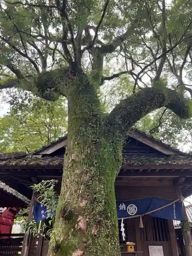 青井阿蘇神社(熊本県)