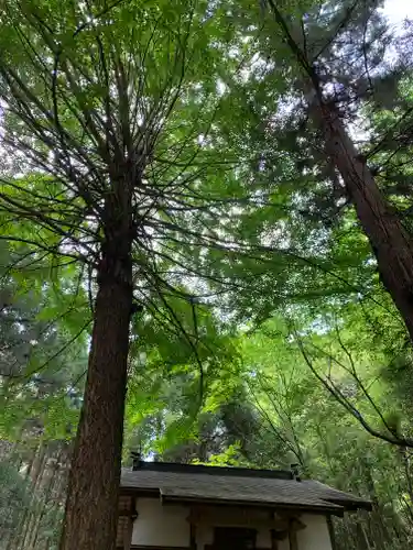 阿夫利神社の自然